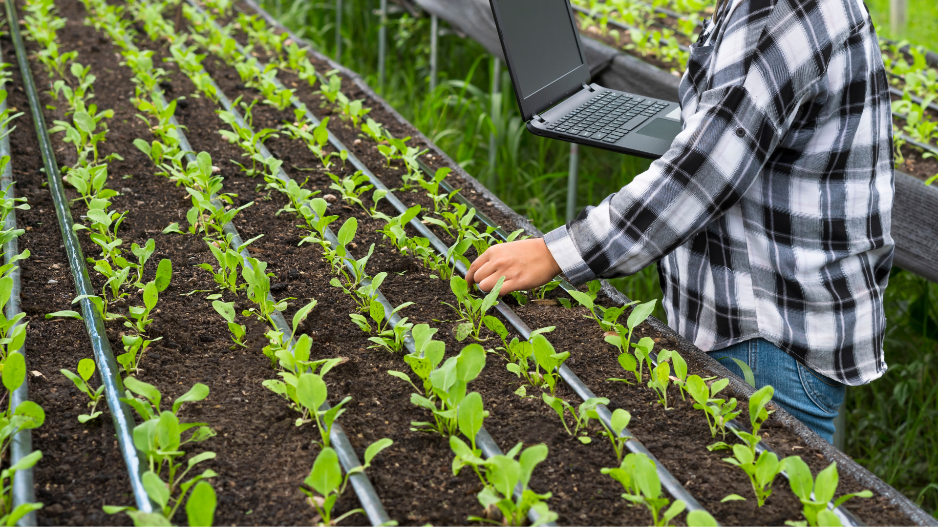 AgTech and Rural IT Connectivity Queensland